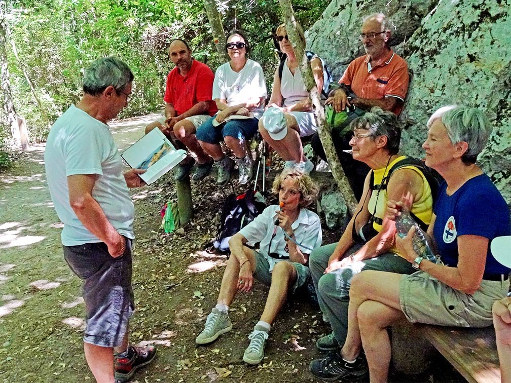 Activité lecture